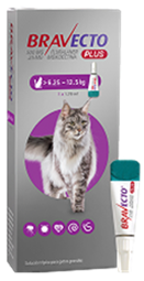 Bravecto Plus Gatos 500 mg L (6.2 - 12.5 kg ) Pulgas y garrapatas