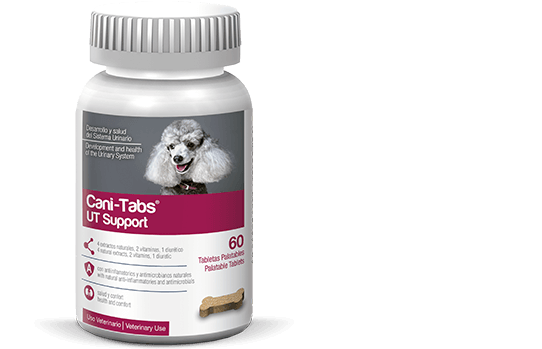 Cani-Tabs UT Support 60 Tabletas (Salud del Sistema Urinario) TEMPORALMENTE AGOTADO