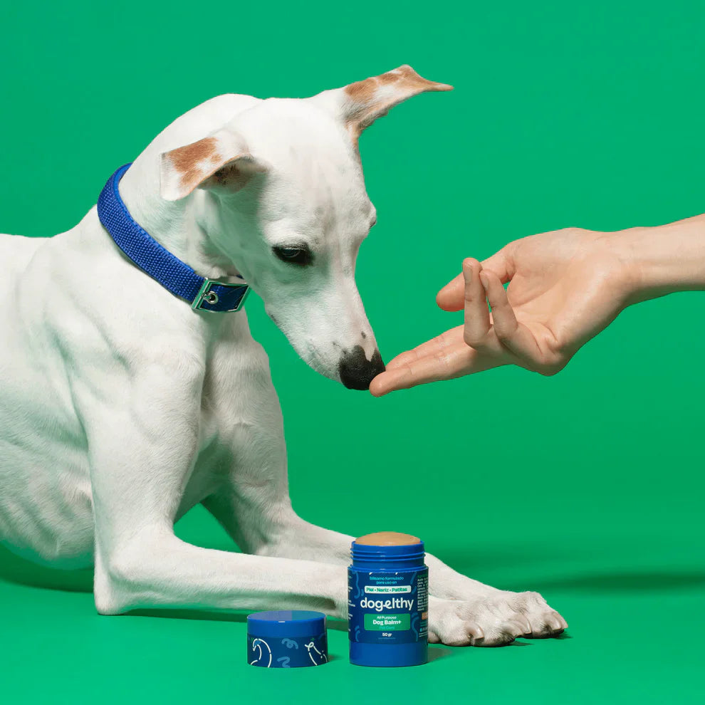 Dogelthy Dog BALM TARRO 50 gr ( Bálsamo Hidratante para Piel, Patitas y Nariz Anti Resequedad y Agrietamiento )