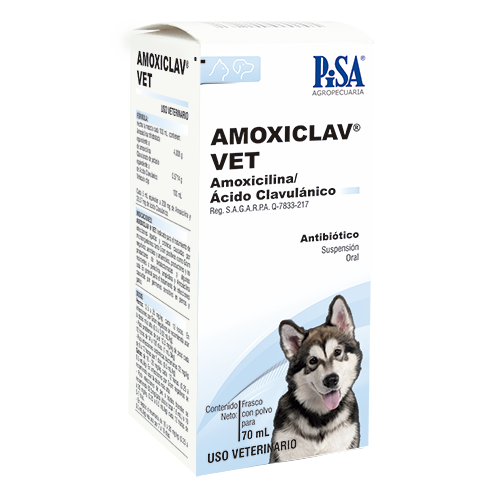 Amoxiclav Vet 70 mL Suspensión Oral (Amoxicicilina - Ácido Clavulánico)