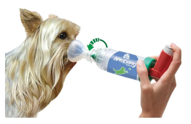 AeroDawg Chamber Large ( cámara espaciadora para perros > 9 kg )