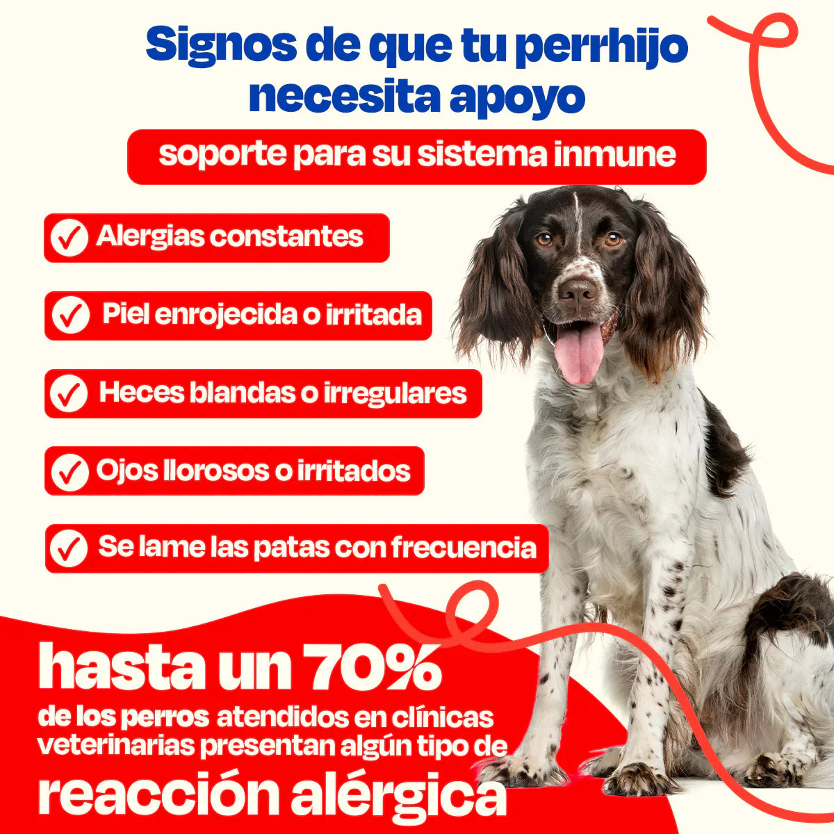 Dogelthy Allergy Blend Sabor Cerdo 270 g (Alergias ) Suplemento para el SIstema Inmune