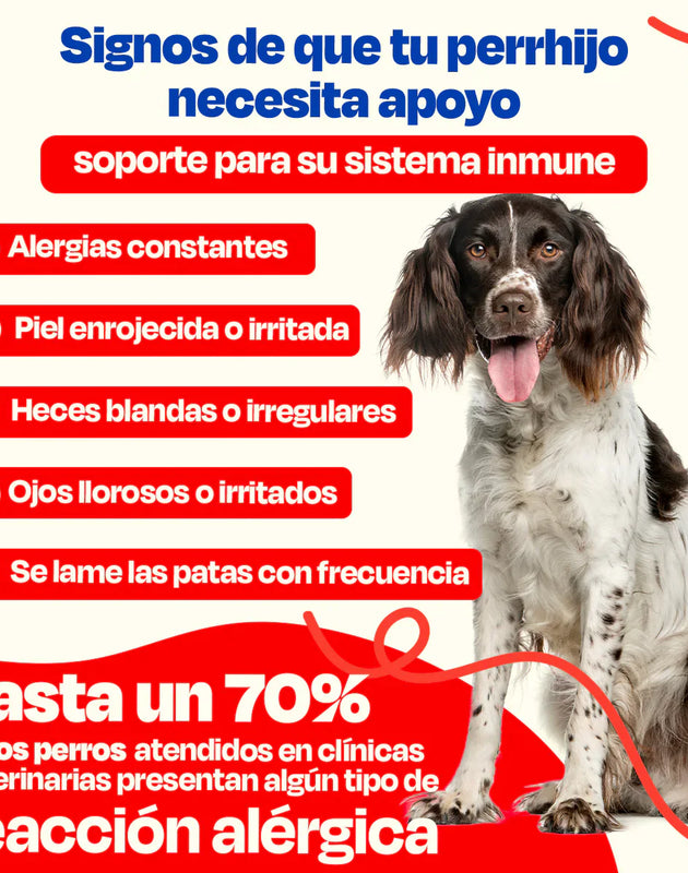 Dogelthy Allergy Blend Sabor Cerdo 270 g (Alergias ) Suplemento para el SIstema Inmune