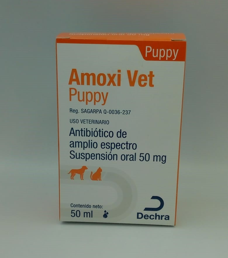 Amoxi Vet Puppy 50 mg frasco 50 ml ( Amoxivet )