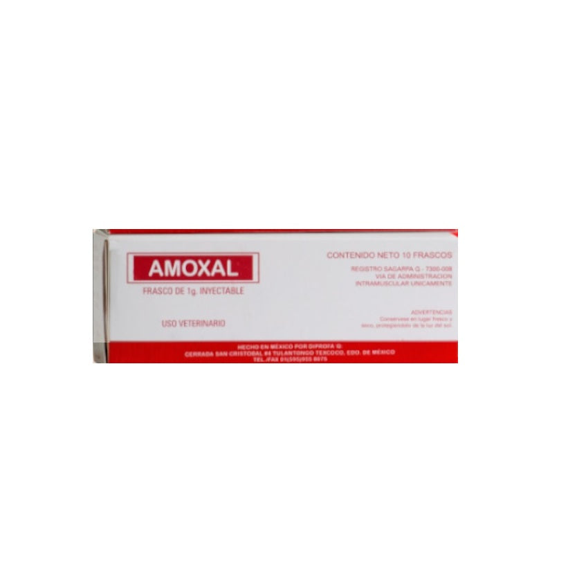 Amoxal 1 g ( Amoxicilina ) AGOTADO