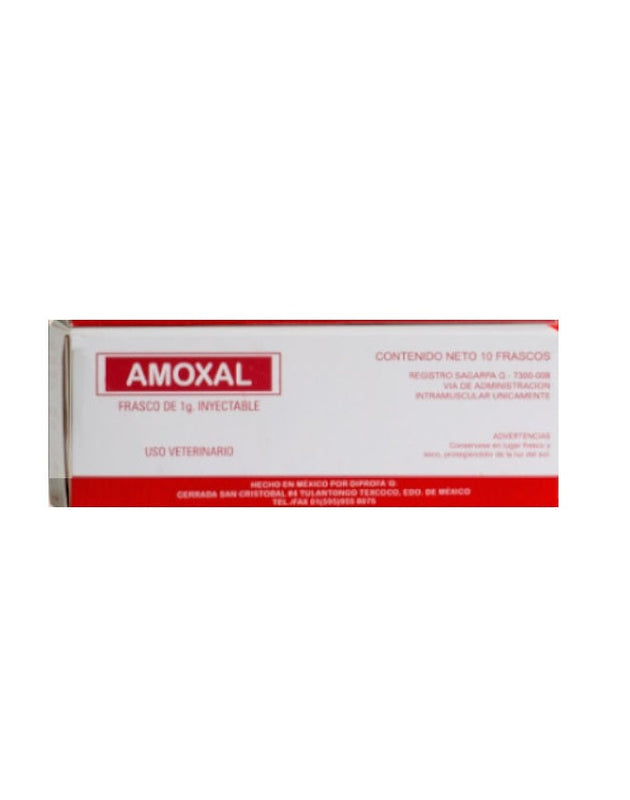 Amoxal 1 g ( Amoxicilina ) AGOTADO