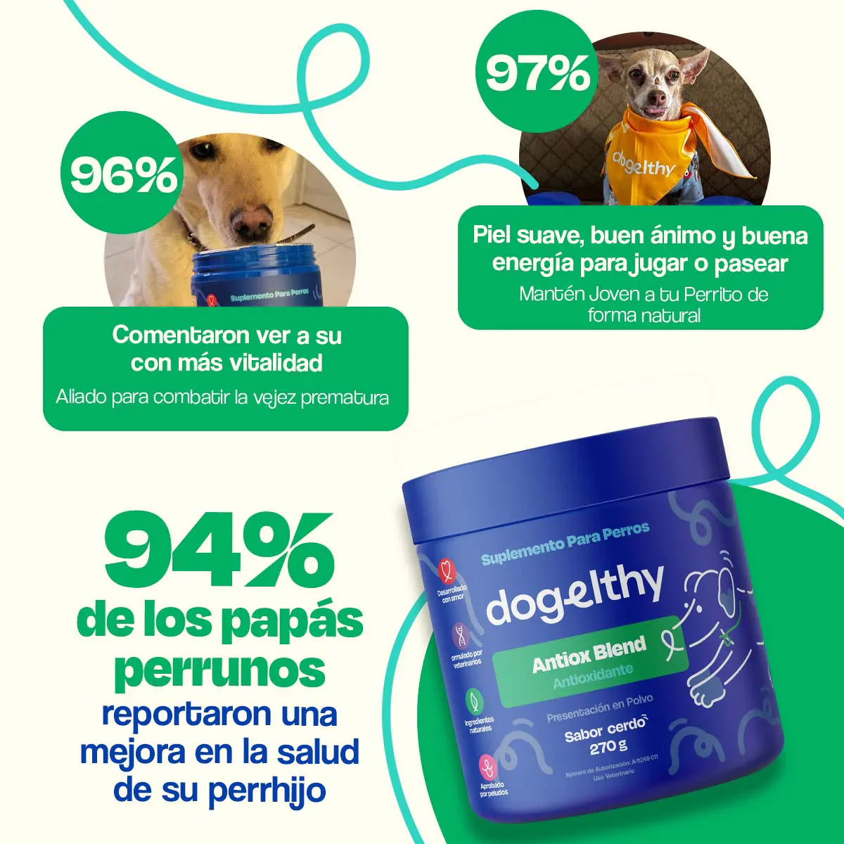 Dogelthy Antiox Blend Sabor Cerdo 270 g (Antioxidante para Perros)