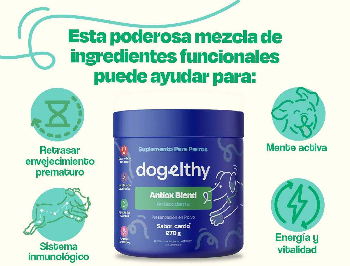 Dogelthy Antiox Blend Sabor Cerdo 270 g (Antioxidante para Perros)