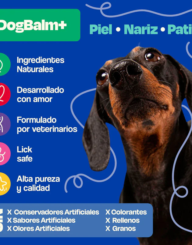 Dogelthy Dog BALM STICK 50 gr ( Bálsamo Hidratante para Piel, Patitas y Nariz Anti Resequedad y Agrietamiento )