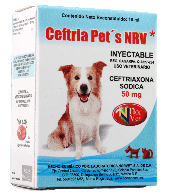 Ceftria Pets NRV 50 mg  10 ml (Ceftriaxona)