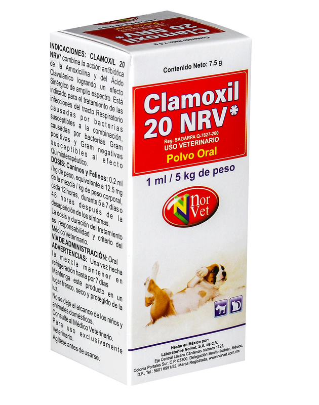 Clamoxil NRV Suspension Oral 33 ml