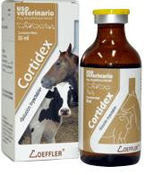 Cortidex Frasco con 20 ml