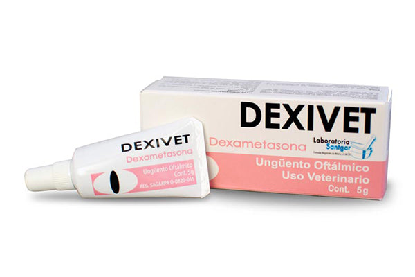 Dexivet ungüento oftálmico 5 gr SANTGAR ( dexametasona )