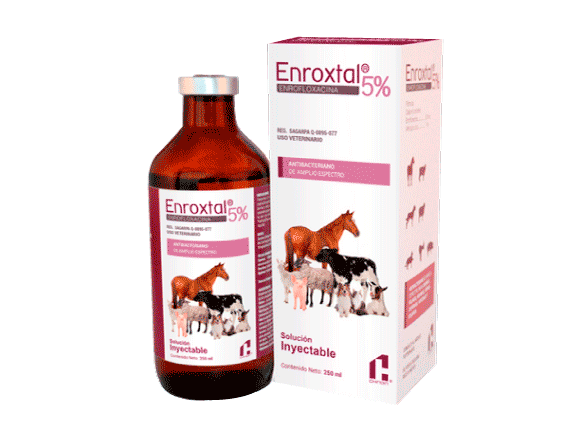 ENROXTAL 5% 50 mL Inyectable