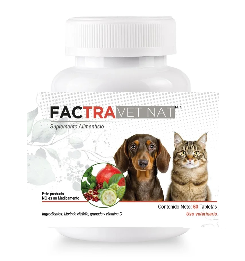 Factra VetNat 60 Tabletas ( Sistema Inmune) ANTES FactTrans VetNat