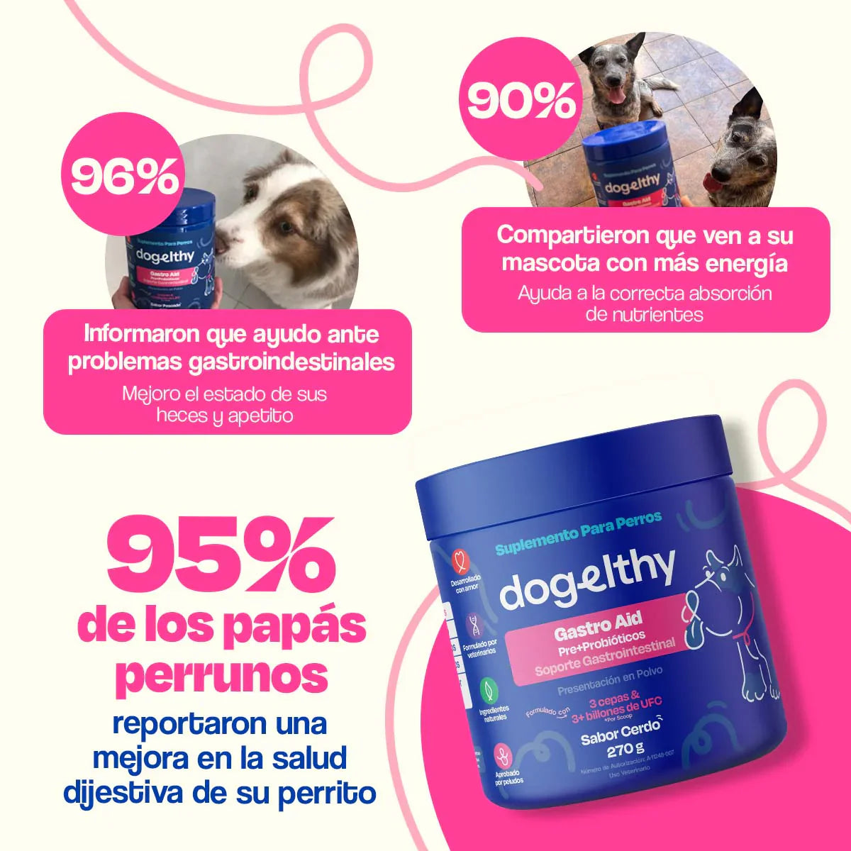 Dogelthy GASTRO AID Sabor Cerdo 270 gr ( Prebióticos + Probióticos )
