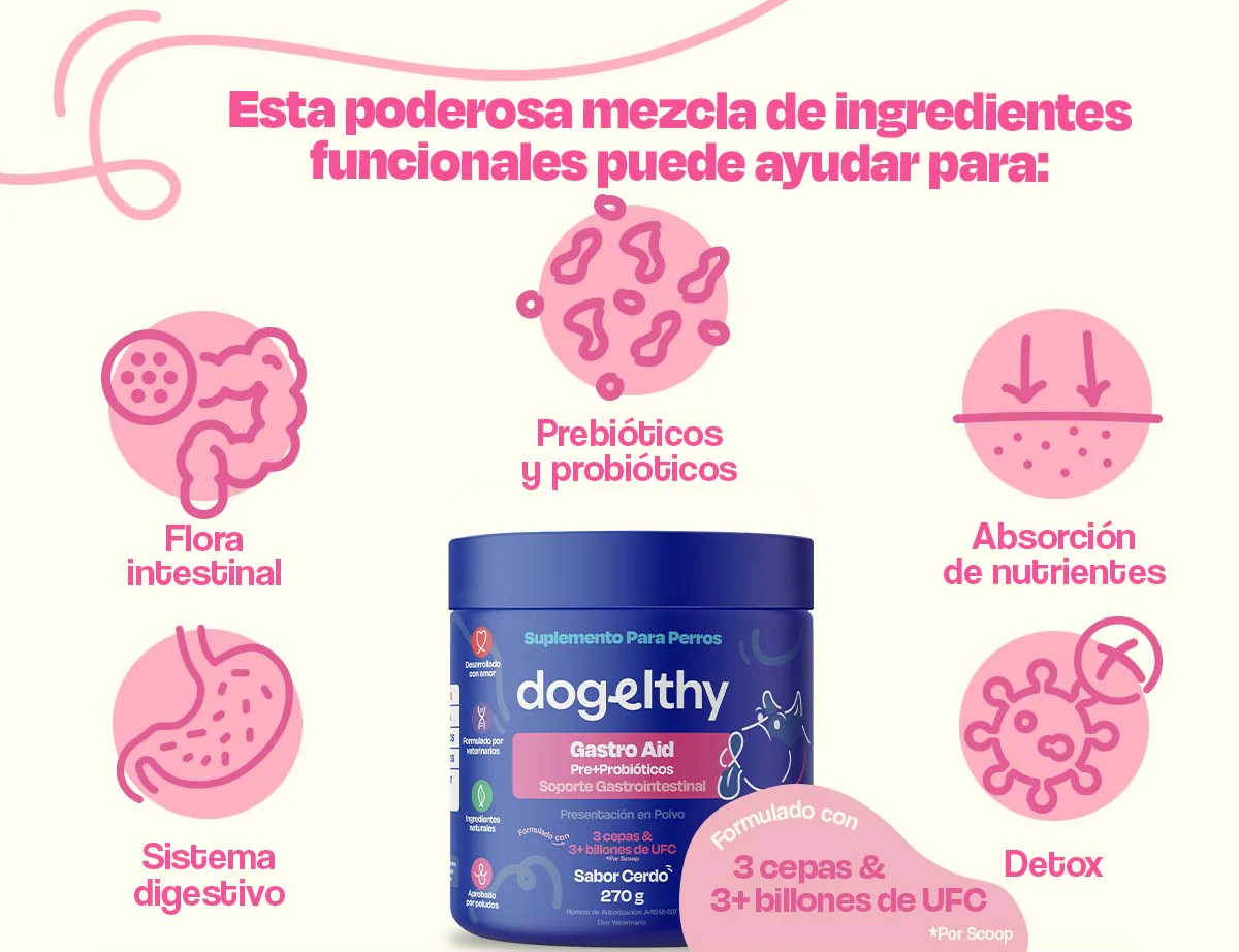 Dogelthy GASTRO AID Sabor Cerdo 270 gr ( Prebióticos + Probióticos )