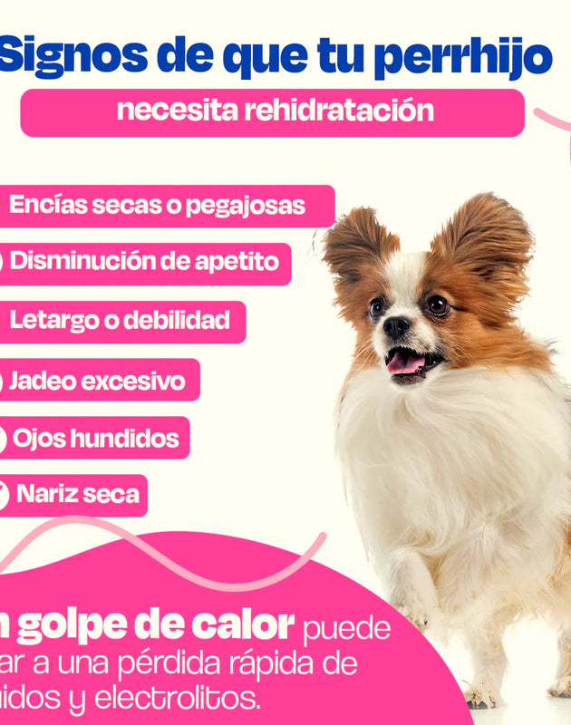 Dogelthy Hydratation Powder Sabor Res 150 gr ( Electrolitos para Perros )