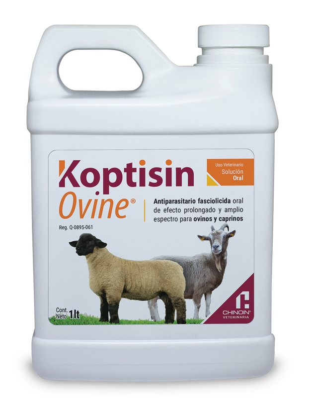 Koptisin Ovine Frasco con 1000 ml