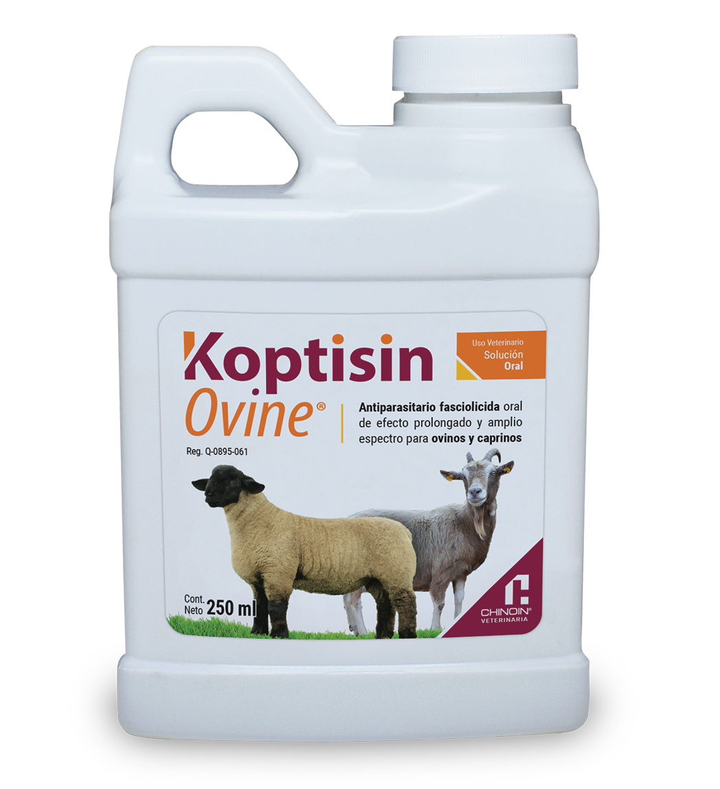 Koptisin Ovine Frasco con 250 ml