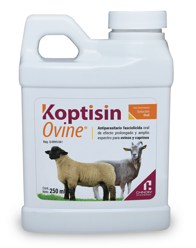 Koptisin Ovine Frasco con 250 ml