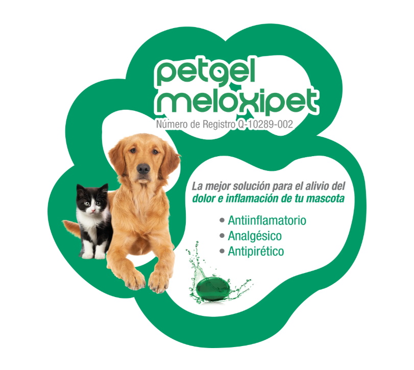 PetGel Meloxipet 10 cápsulas gelatina blanda ( Meloxicam 1 mg )