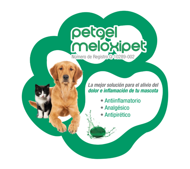 PetGel Meloxipet 10 cápsulas gelatina blanda ( Meloxicam 1 mg )
