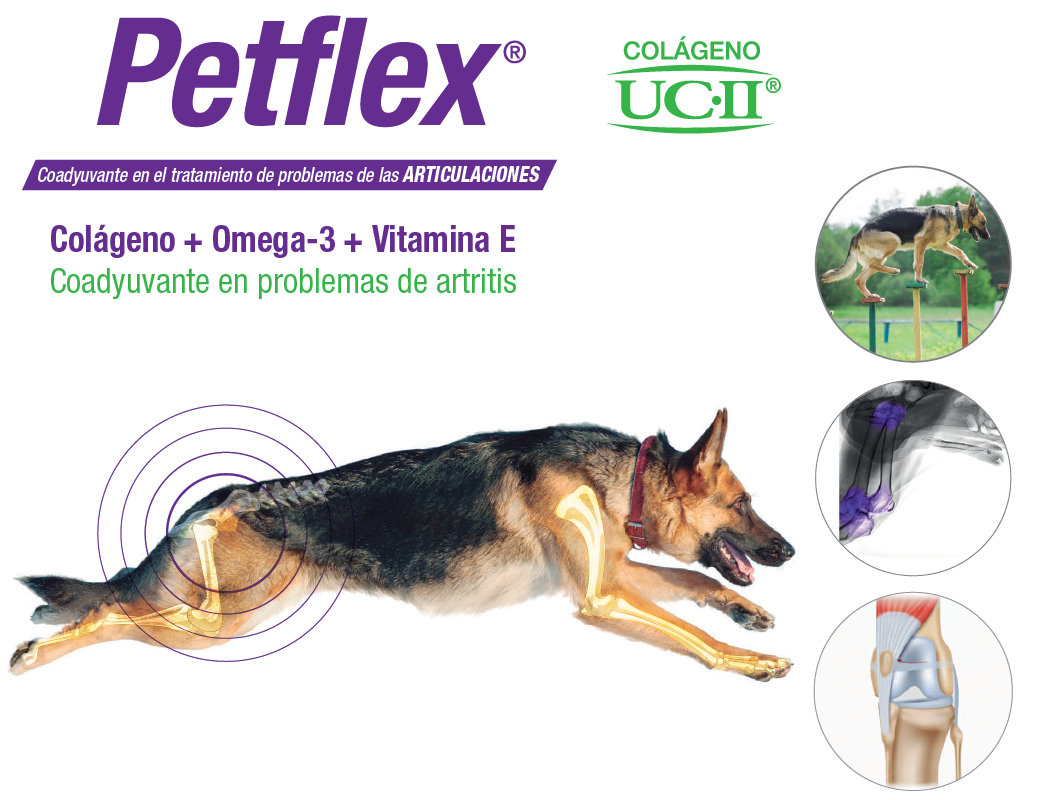 Petflex 30 cápsulas gelatina blanda ( colágeno ácidos grasos )