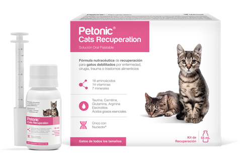 Petonic Cats Recuperation 55 mL Gatos AGOTADO TEMPORALMENTE