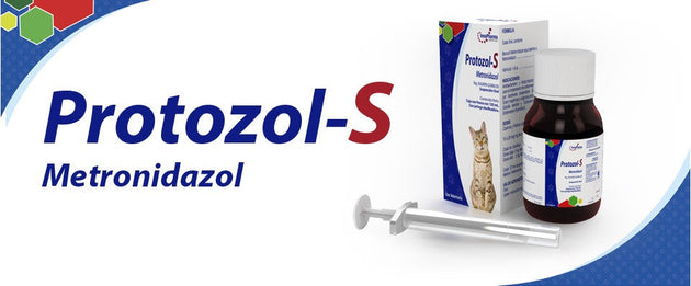 Protozol-S Frasco con 120 ml