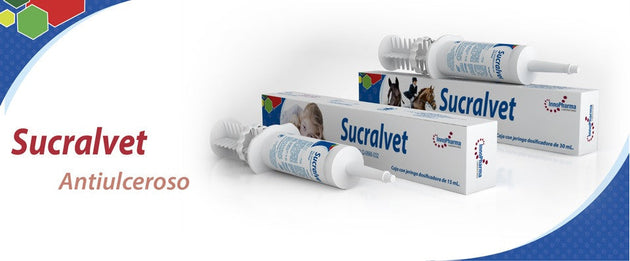 Sucralvet Pasta oral 15 ml