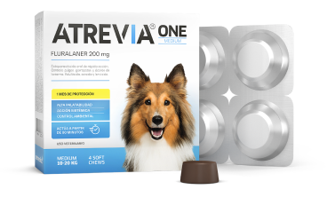 Atrevia ONE Medium 10 - 20 kg 4 Tabletas (Fluralaner 200 mg)