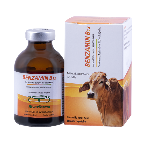 Benzamin B12