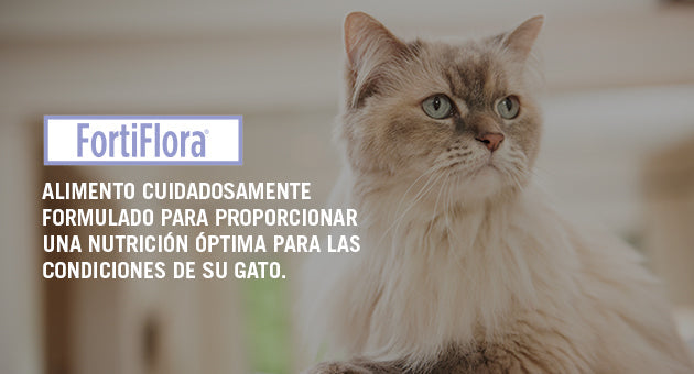 Fortiflora gato probióticos  30 sobres ( fortiflora feline ) REQUIERE TRANSPORTARSE EN FRÍO LLAME PARA COTIZAR ENVÍO