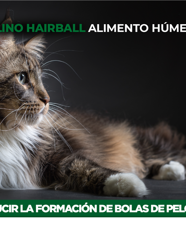 Nupec Felino Hairball 100 g  (Alimento húmedo con pescado)