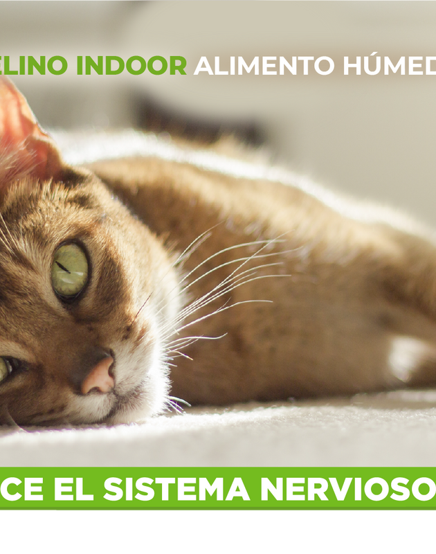 Nupec Felino Indoor 100 g  ( Alimento húmedo con carne y pollo )