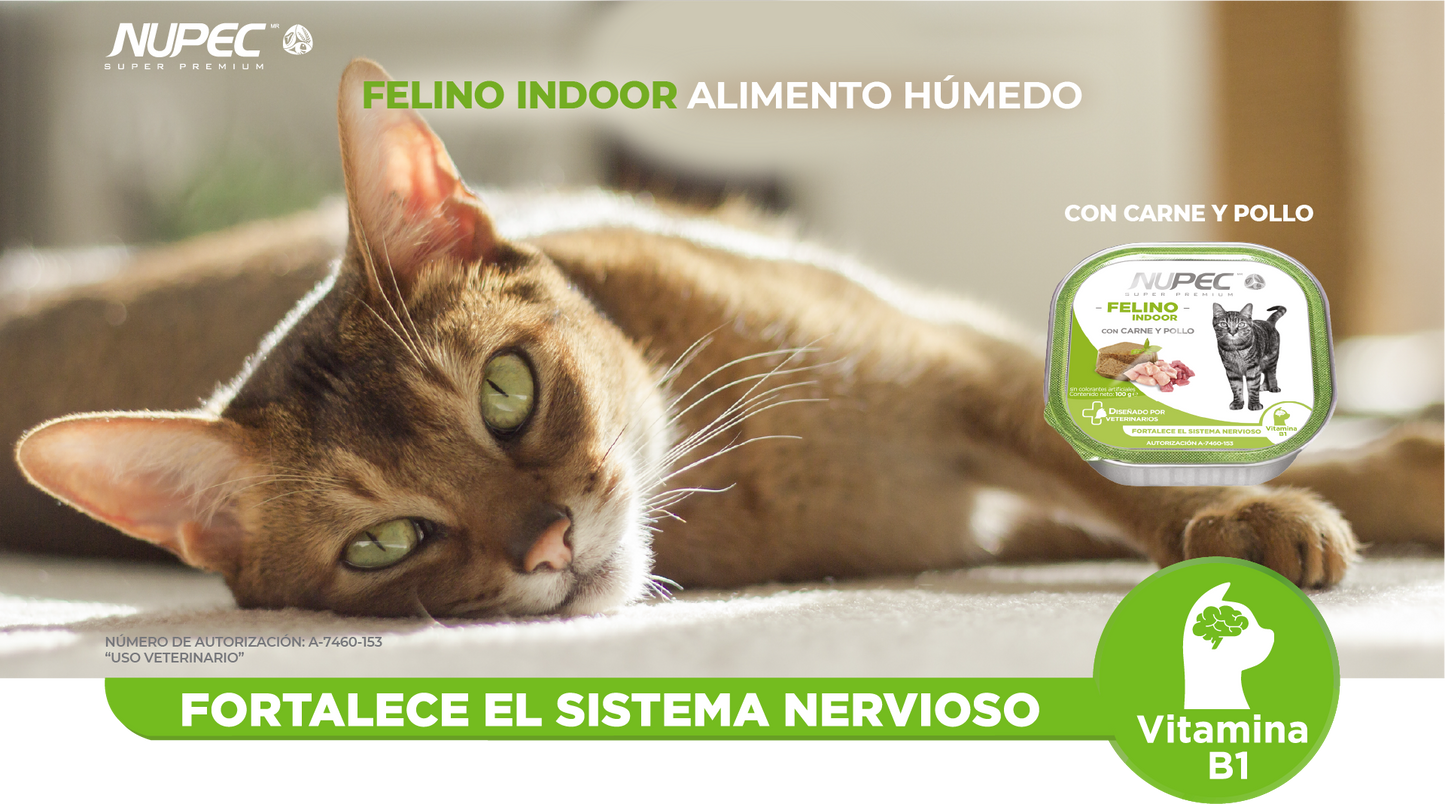 Nupec Felino Indoor 100 g  ( Alimento húmedo con carne y pollo )