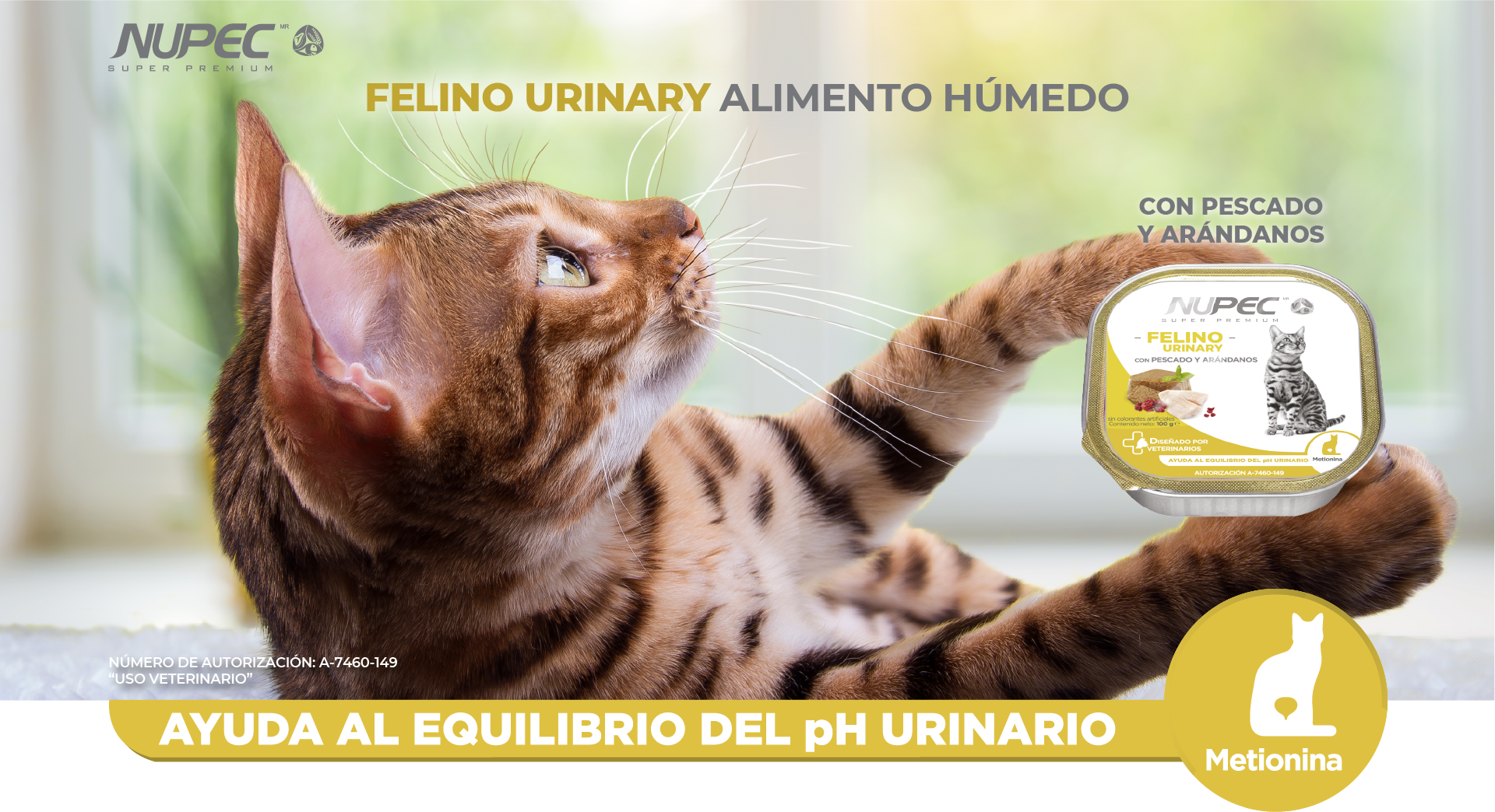 Nupec Felino Urinary 100 g  ( Alimento húmedo con pescado y arándanos )