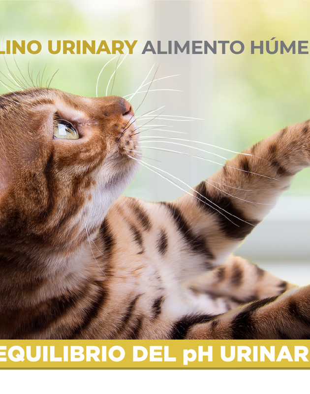 Nupec Felino Urinary 100 g  ( Alimento húmedo con pescado y arándanos )