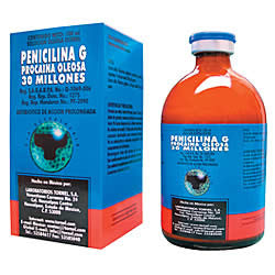 Penicilina G Procaina Oleosa Frasco con 100 ml (30 millones)